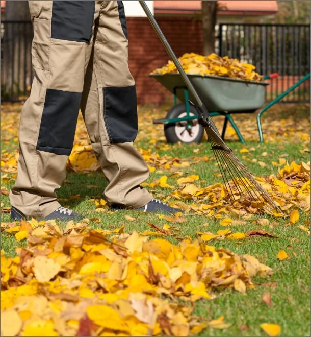 Service Demo 6 Img Presentation 12