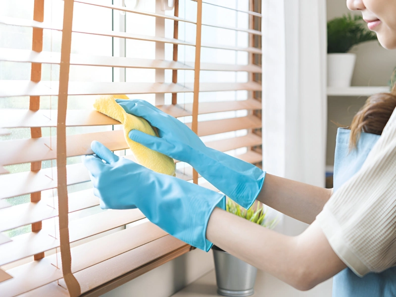 Prisciclean Aide A Domicile Sessenheim Un Environnement Propice Pour Les Seniors